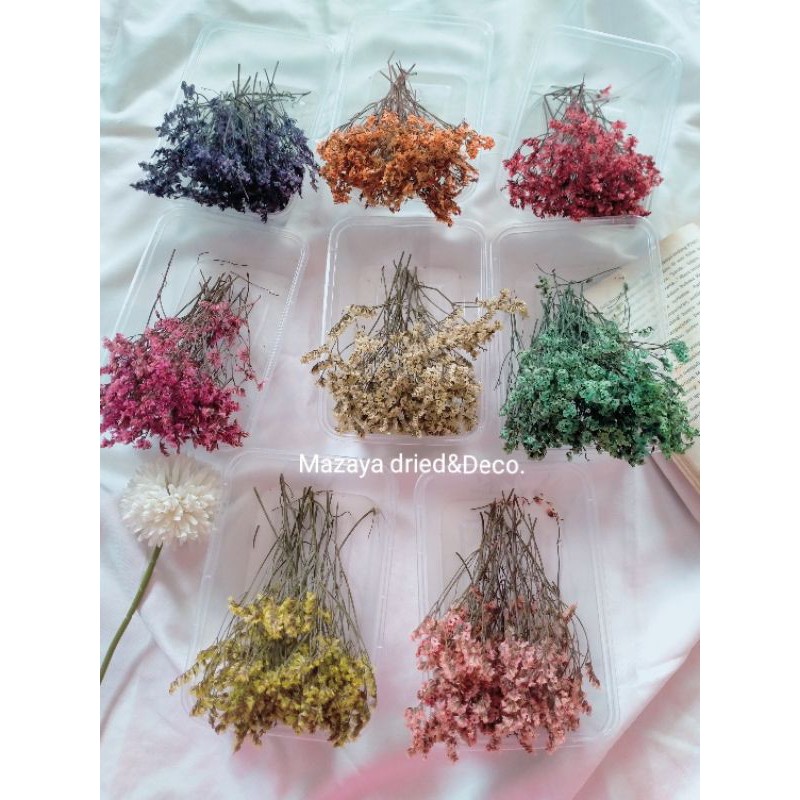 (Box) Dried Limonium/Dried Arcillia Pack