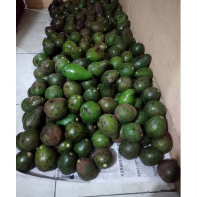 

Yuk buruan di order alpukat mentega & jambu kristal nya barang nya masih segar"..
