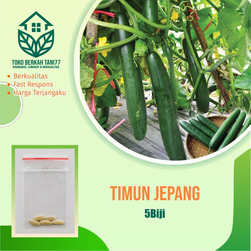 BENIH SAYURAN UNGGUL TERLENGKAP TERJANGKAU BIBIT KUBIS TOMAT SAWI TERONG CABE BUNCIS BAYAM KANGKUNG-Timun jepang