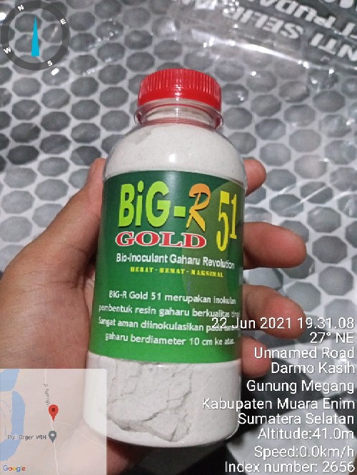Big-r Gold 51 - Inokulan Gubal Gaharu Super - 100 Gram