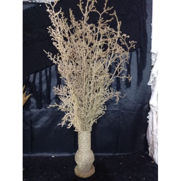 bunga caspea ulir | bunga kering rustic | dekorasi rustic