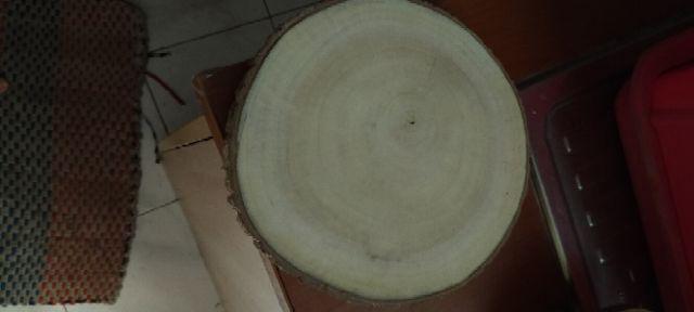 Wood Slice 23-25 Cm Log Kayu Hiasan Dinding Bahan Craft Dekorasi
