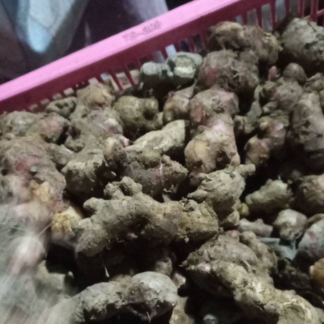 

Jahe merah 1/4 kg