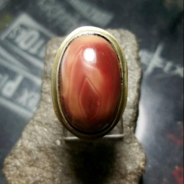 Rubah Merah Banyuwangi