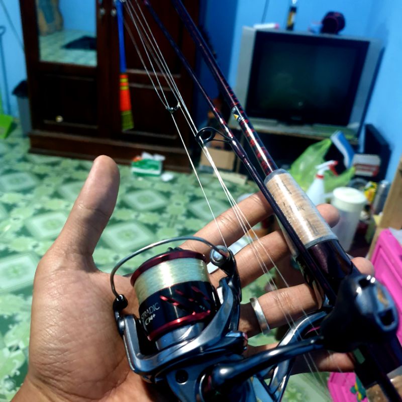 Shimano Scorpion 4-8lb ORI  maron blank ulir