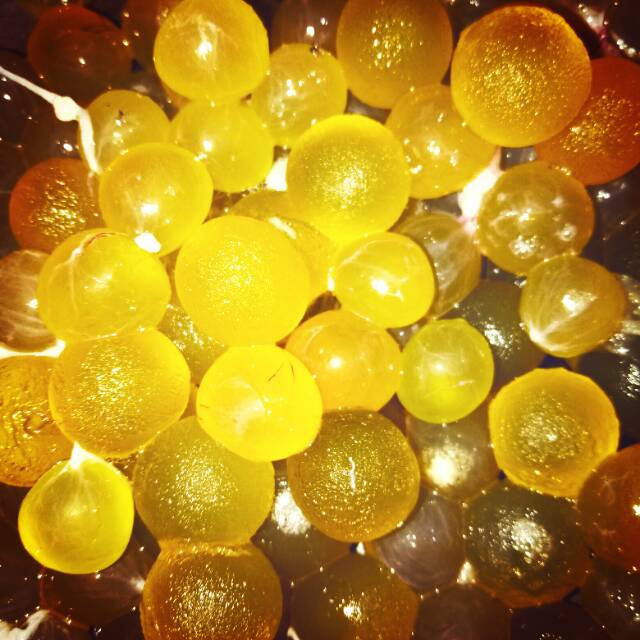 Telur Ikan Manyung Size M dan S