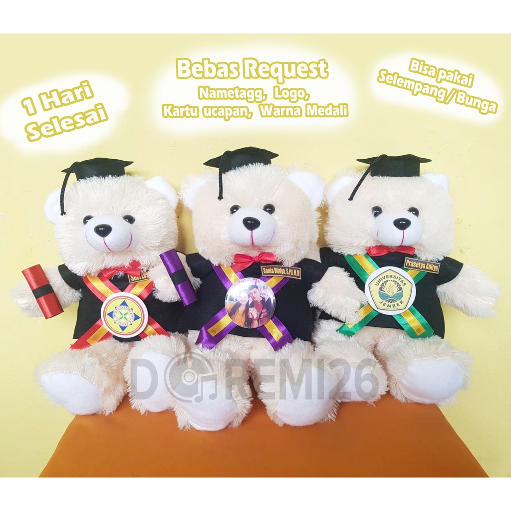 Jual Boneka Wisuda Tedy Bear 40 cm / Boneka Kelulusan / Boneka Wisuda