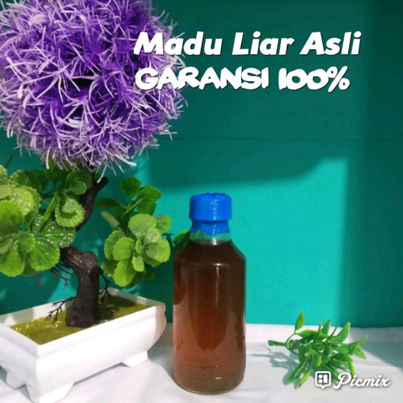 

Madu Liar Asli 100%, MADU MURNI, MADU HUTAN ASLI