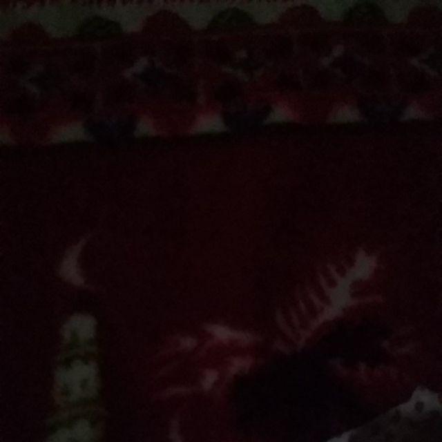 Siku Rak 10 X 12/ Siku Rak 10x12/ Siku L/ Shelf Bracket 10 X 12 (harga Untuk 1bj)