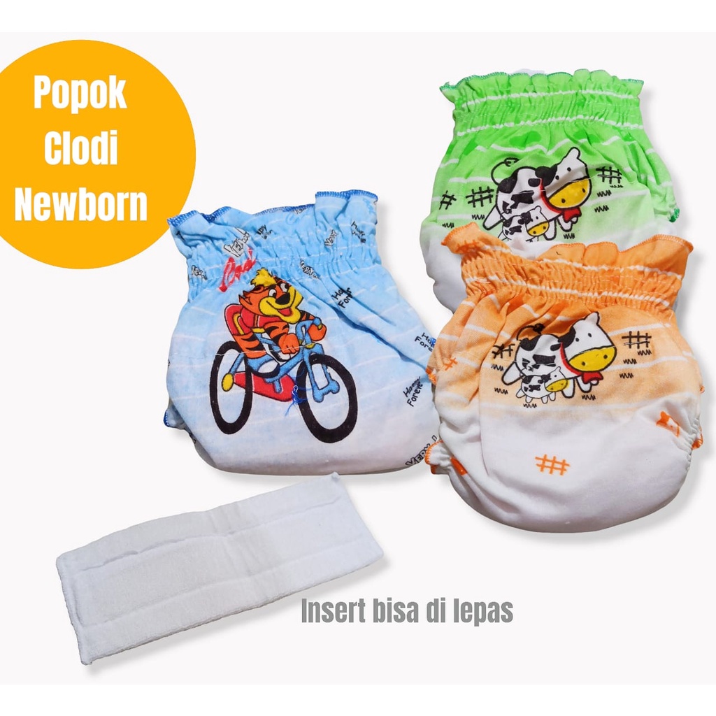 Popok Clodi Popok Diapers Celana Lampin + Insert