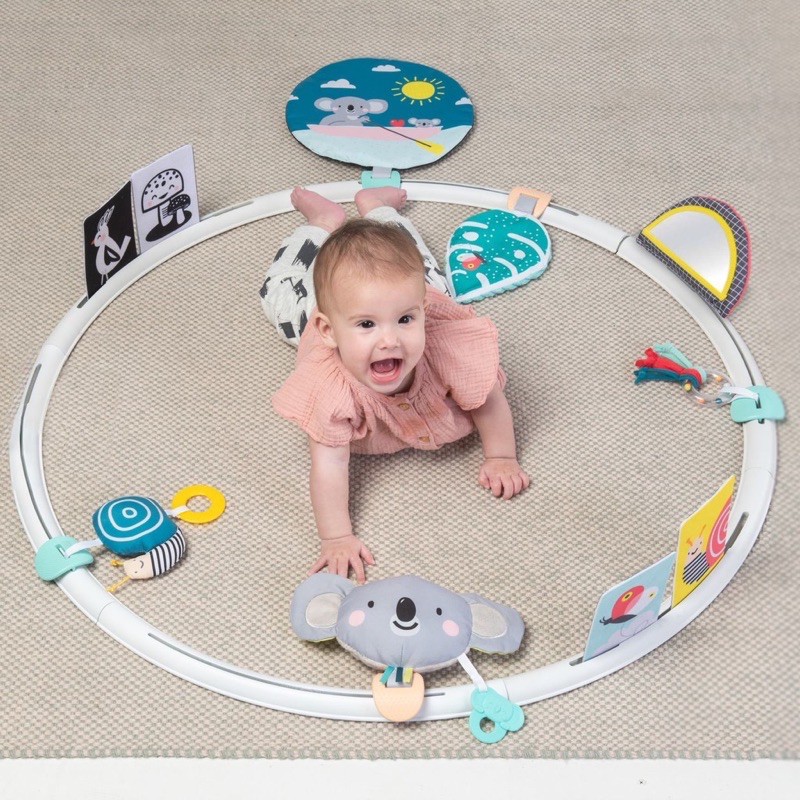 Taf Toys All Arround Me Activity Hoop