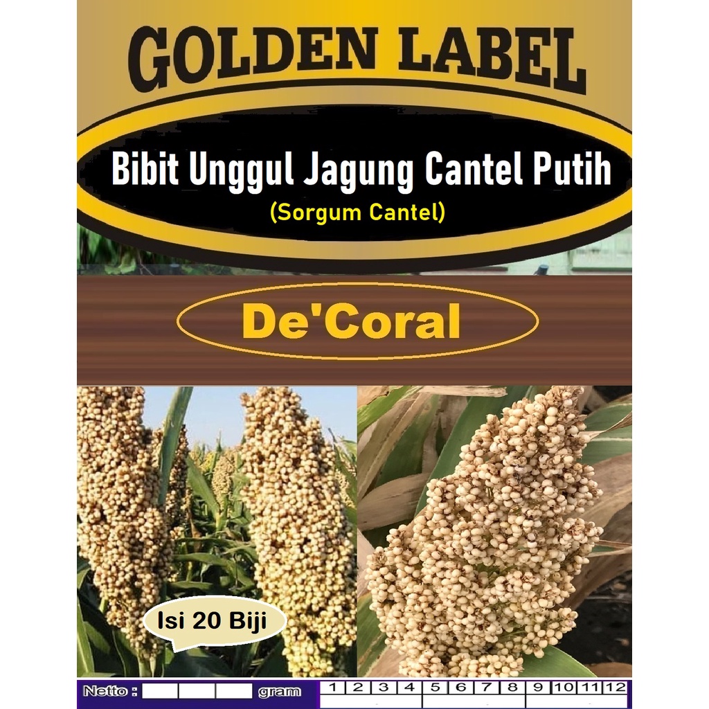 Bibit Unggul Jagung Cantel Putih|Biji Benih Sorgum Cantel|Bibit Sorgum