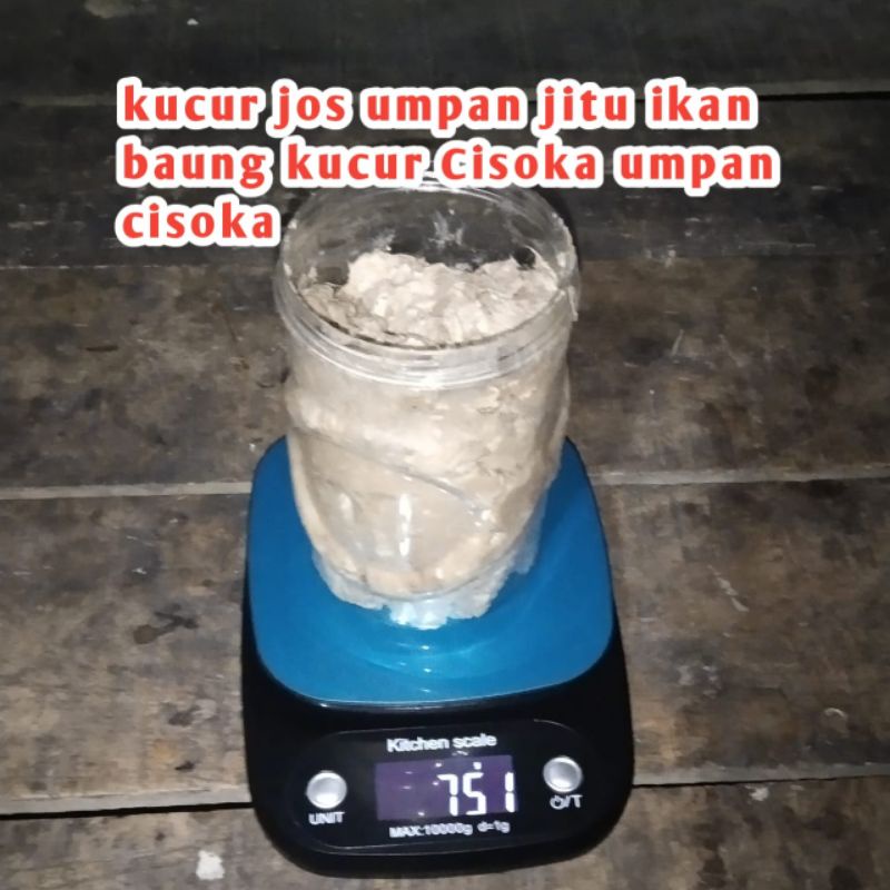 kucur jos umpan jitu baung kucur Cisoka umpan bau
