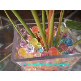 Hydrogel Hidrogel Water Beads Media Tanam 5gram Warna Warni PG KDR