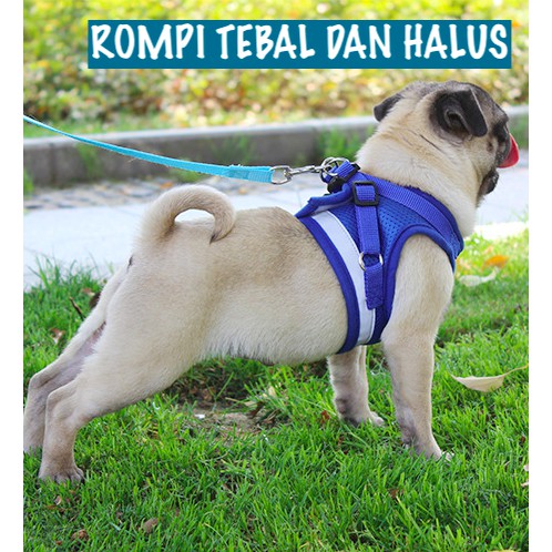 TALI KUCING HARNESS ANJING KUCING TALI TUNTUN KUCING TALI KUCING HARNESS KUCING ROMPI BAJU