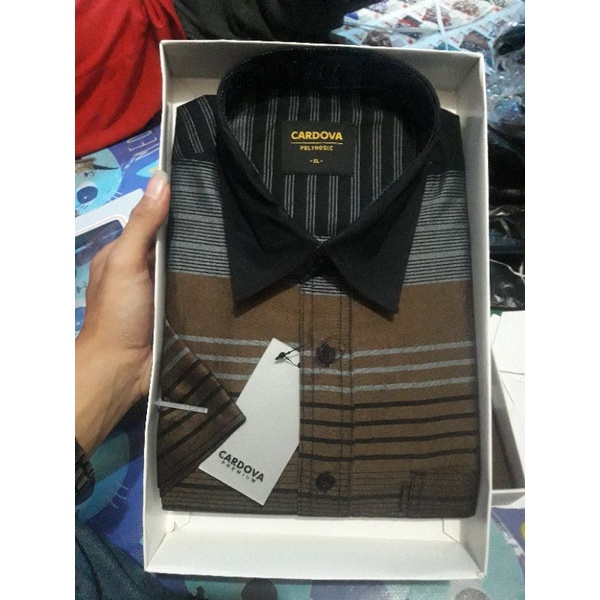 kemeja cardova size M L Xl