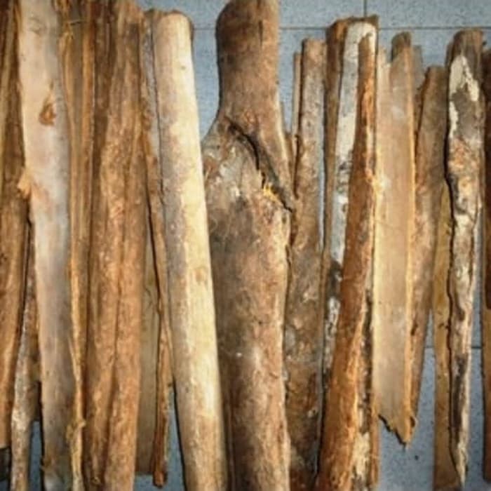 Juwet Duwet Jambu Keling Jamblang Kulit Kayu Kering Serbuk atau Kapsul