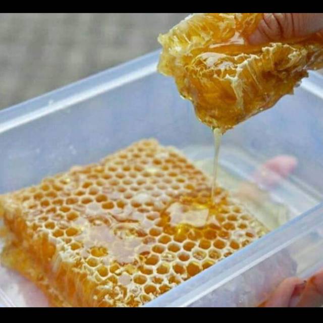 

madu sarang asli 100%