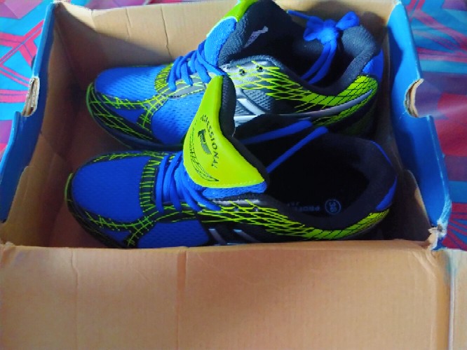  Sepatu  PANTHER Profesional Volly  Voli Voly Original Import 