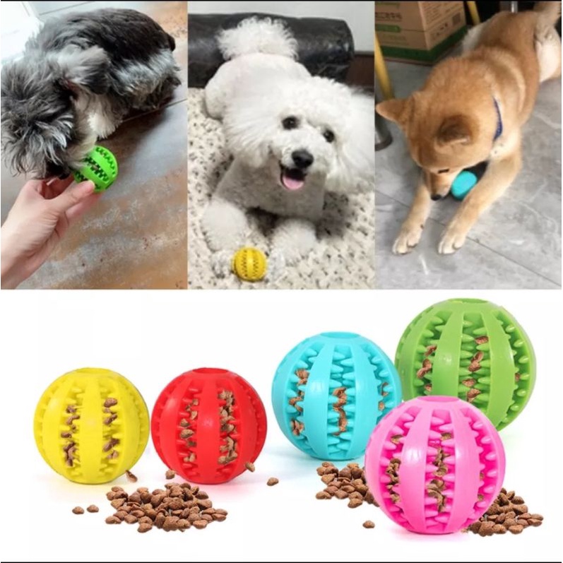 Bola rubber isi dry food mainan karet gigit gigitan anjing kucing toy pembersih gigi toys solid