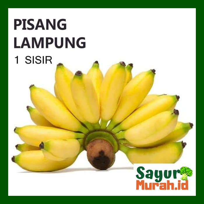 

BUAH PISANG LAMPUNG [1 Sisir]