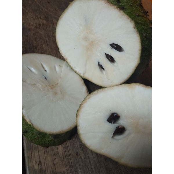 

buah sirsak segar / kg