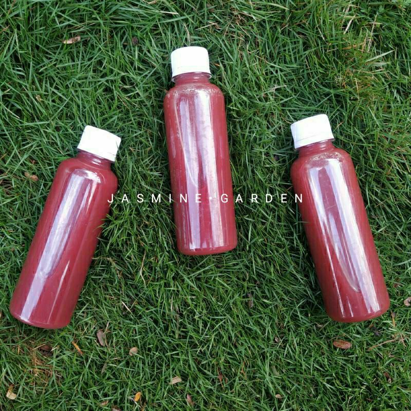 Biang PSB Bakteri Fotosintesis 250 ml