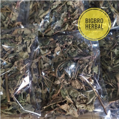 

SUPER AMPUH DAUN KUMIS KUCING HERBAL ATAU DAUN KUMIS KUCING HERBAL