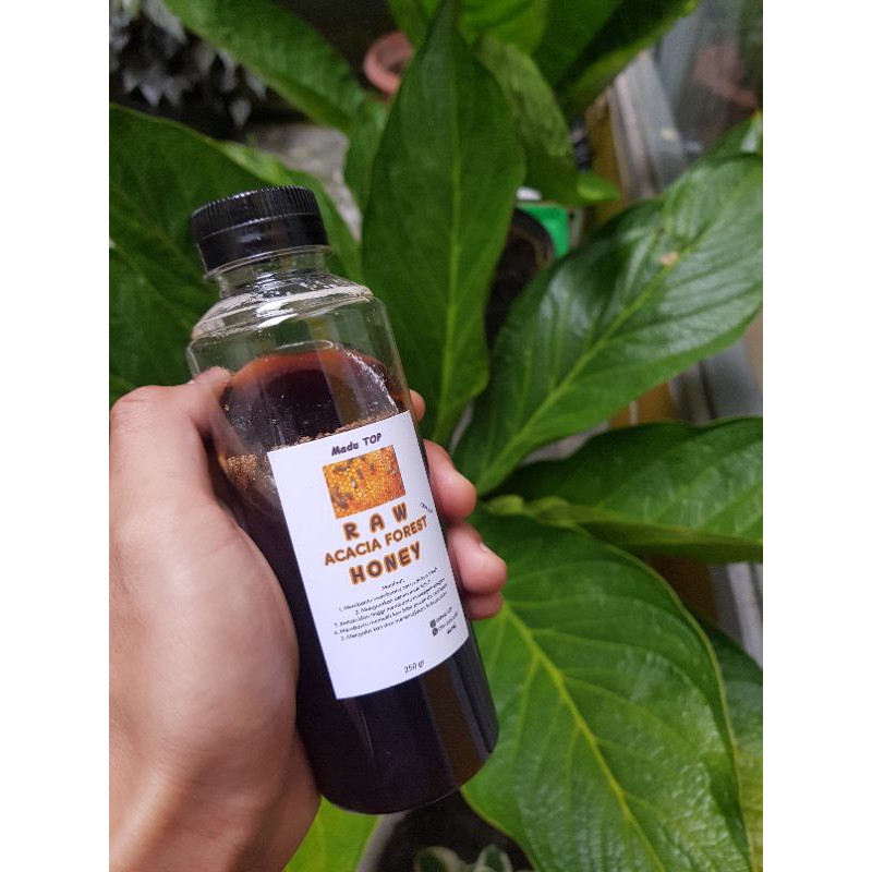 

Madu akasia asli
