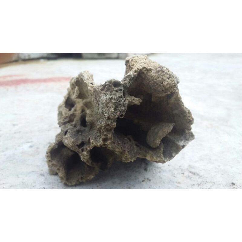 Batu karang laut batu karang hias motif goa kecil Aquascape aquarium