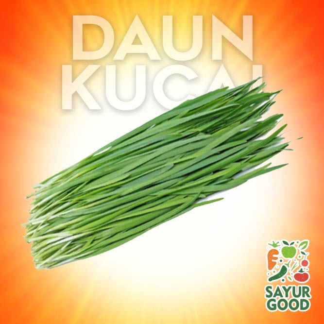 

Daun Kucai Segar / Ikat (Sayur Segar)