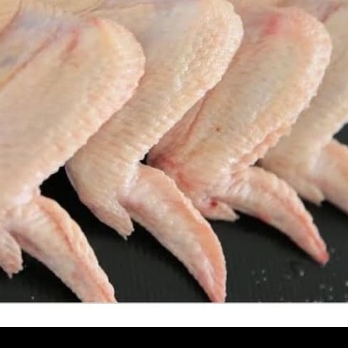 

Sayam ayam kiloan 1kg