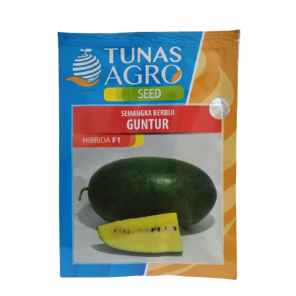 Benih / Bibit Semangka Kuning  Guntur Hibrida F1 Tunas Agro @ 20 Gram