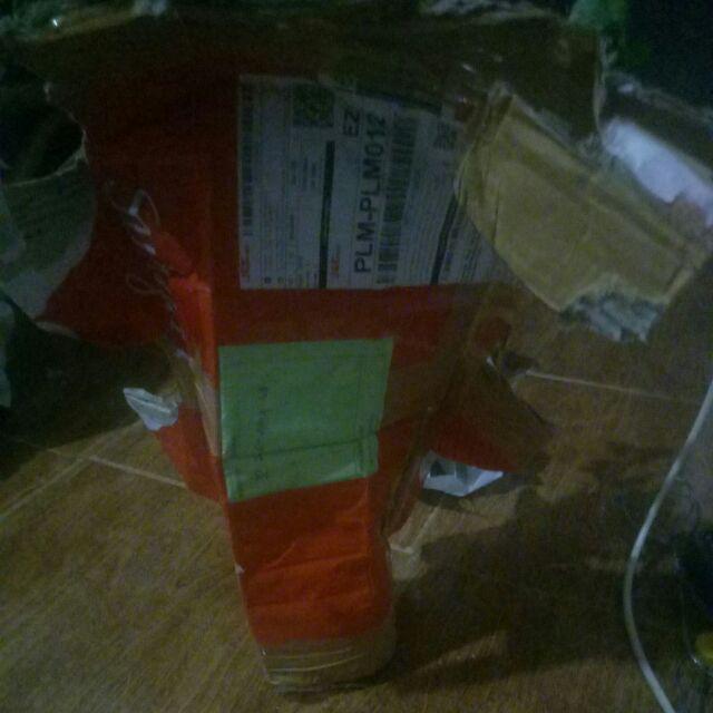 Paket 5 Bibit Tanaman Bidara Bibit Benih Tanaman Daun Biadara Arab