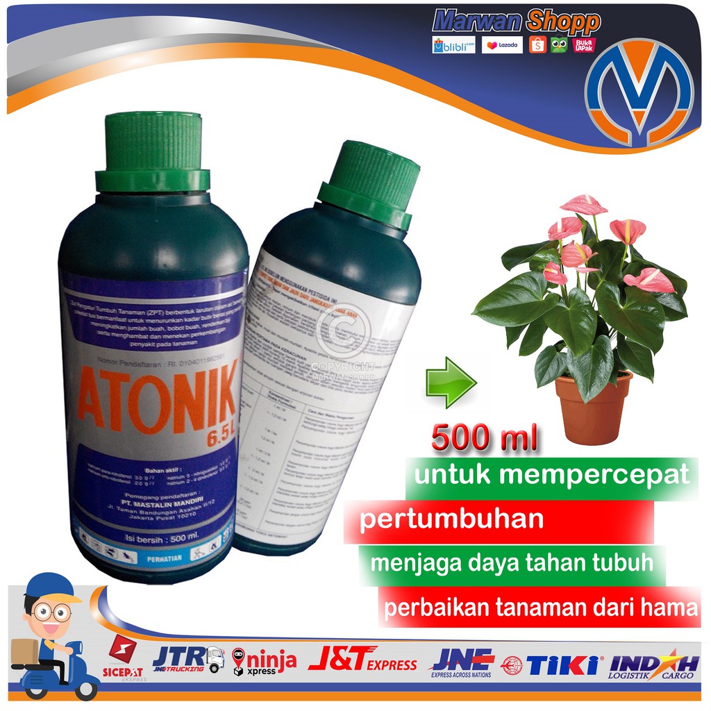 ATONIK 500 ML Pupuk vitamin tanaman hias dsb MARWAN SHOPP