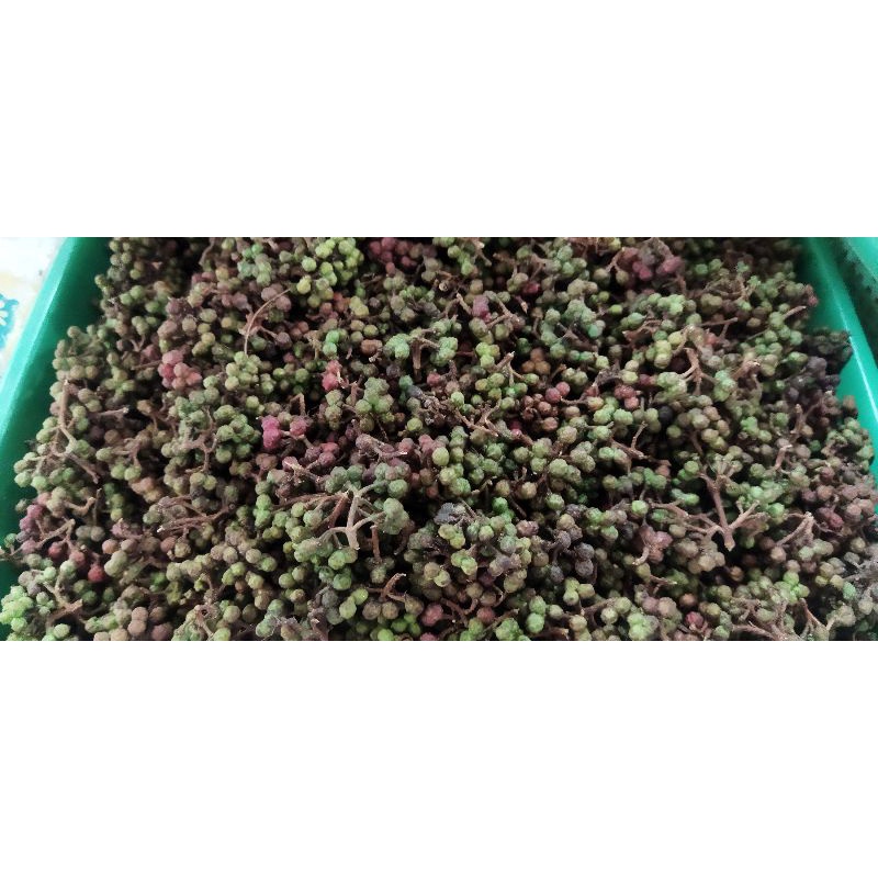 

Andaliman Hijau Segar (Bumbu Khas Batak)