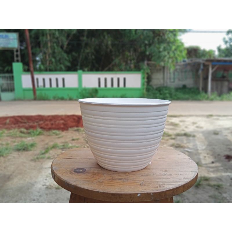 pot tanaman tawon 21