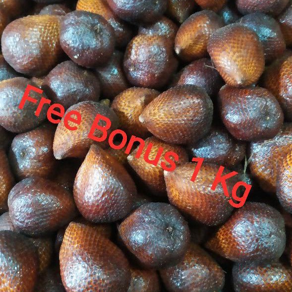 

Salak Pondoh Uk 1 kg + Gratis Bonus