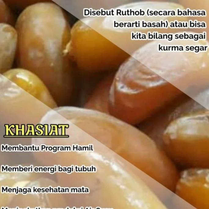 

TERLARIS KURMA RUTHOB / KURMA MUDA