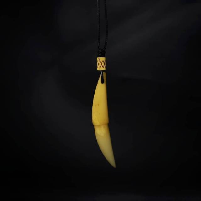 kalung gading sapi asli