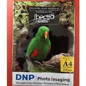 

Segera Beli Kertas Foto Photo Paper Glossy Spectra A4 210 Gsm Murah