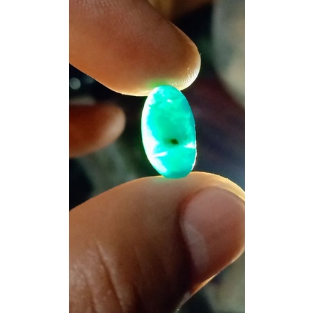 Bacan gulau kura