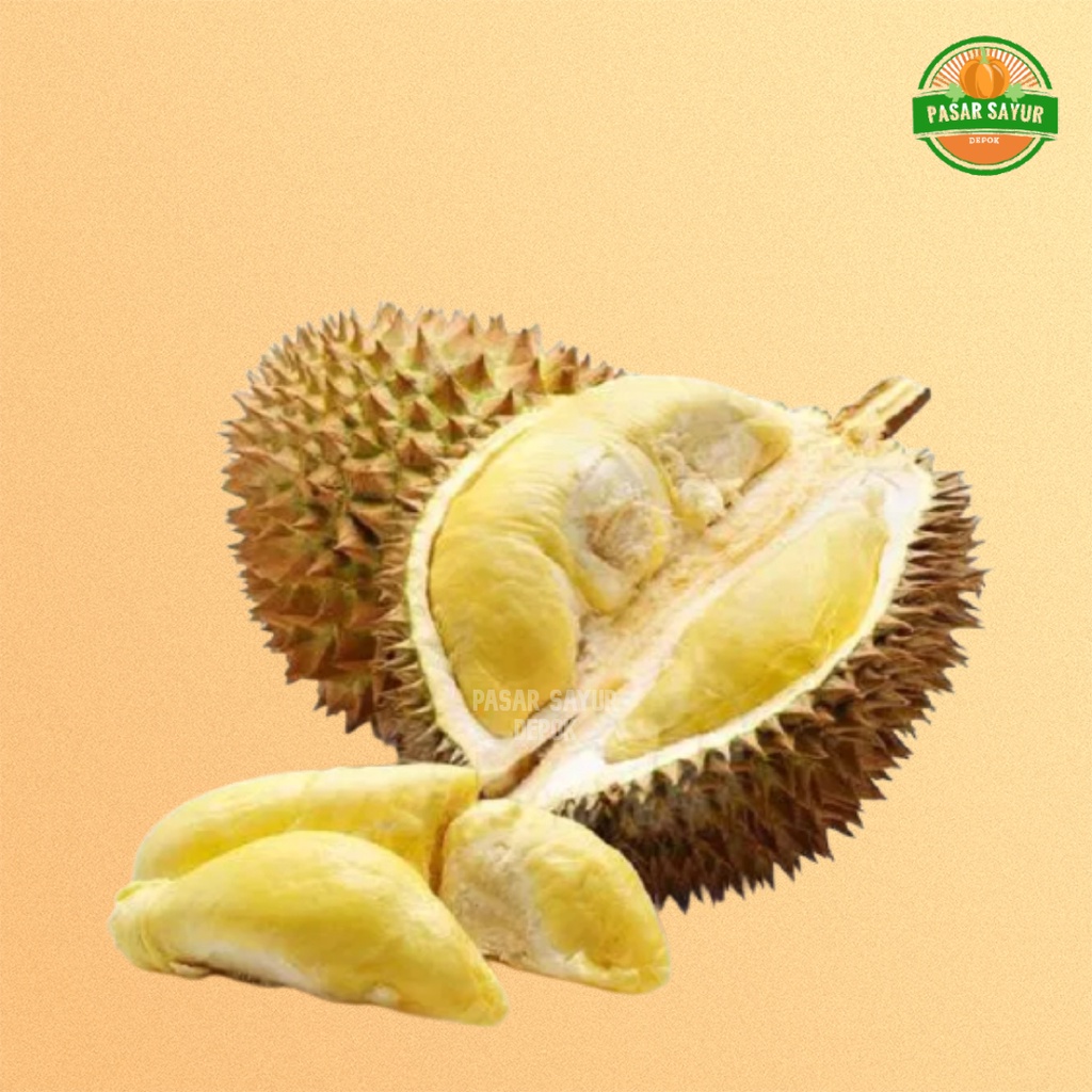 

DURIAN MONTONG SEGAR SUPER ( 1 buah berat 4 kg )