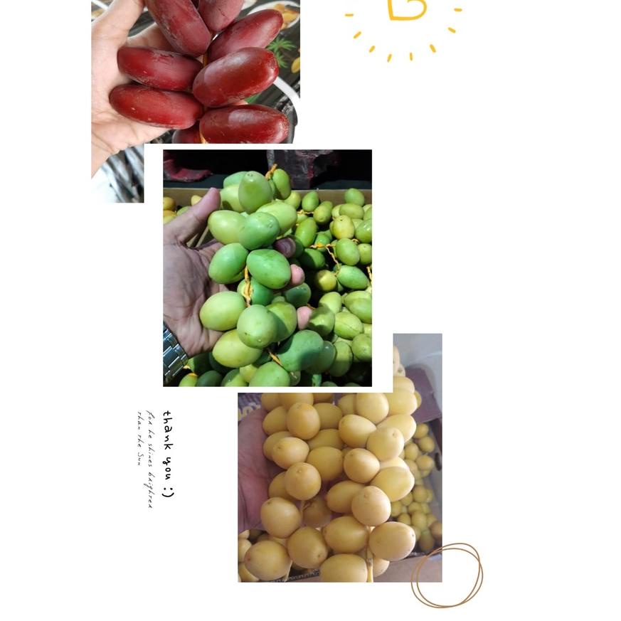 

COD✔️Kurma Muda Promil Fresh Kemasan 1 Kg (1000 Gr)|SQ9