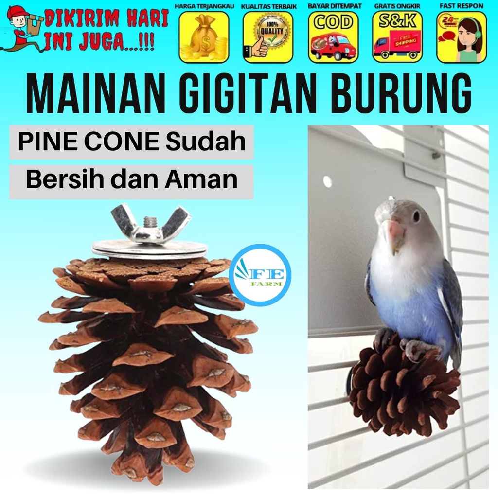 Mainan Gigitan Aman Burung Kerucut Pinus Untuk Parkit Bunga pinus Dekorasi Pinecone FEFARM