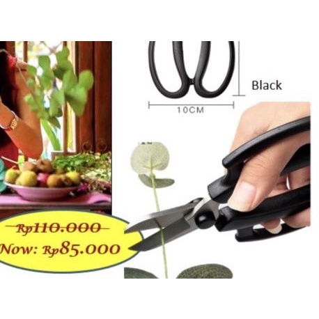 

❄ Korea Florist Scissors gunting korea barang florist bunga - Hitam ➦