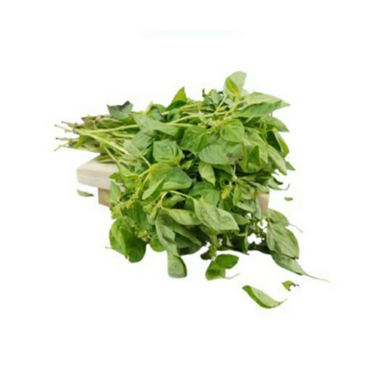 

sayuran Daun kemangi