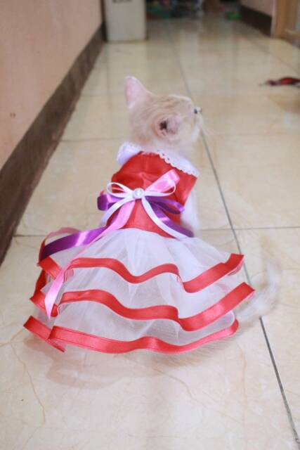 Baju kucing model dress merah lucu untuk kucing dan anjing / baju kucing termurah size S M L XL