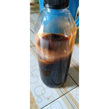 

madu asli akasia 100%