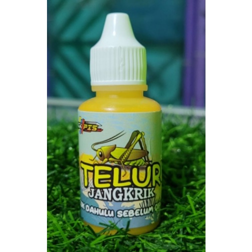 Telur jangkrik_esen gacor khusus harian ikan mas